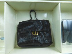 fashion insider main bag
